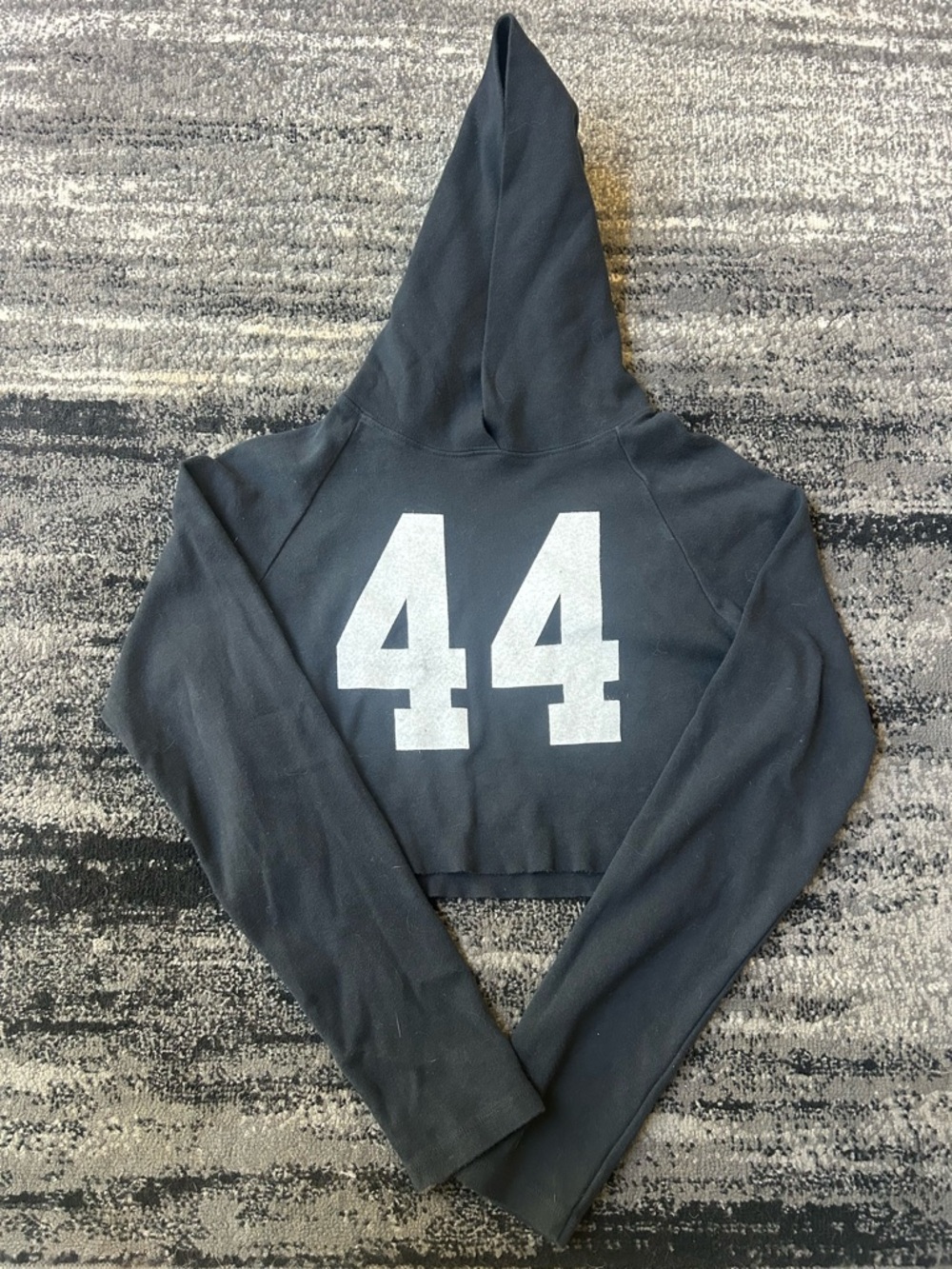 JOHN GALT BY BRANDY MELVILLE Cropped 44 Hoodie